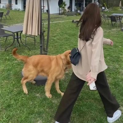 恐怖计划海报