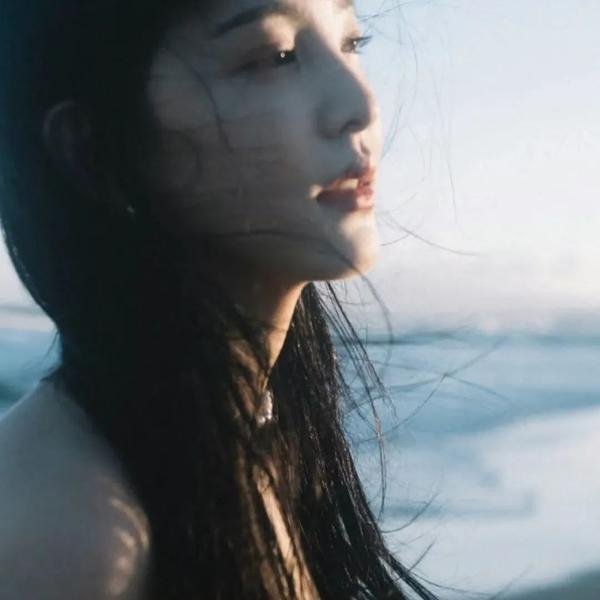 我心略野海报